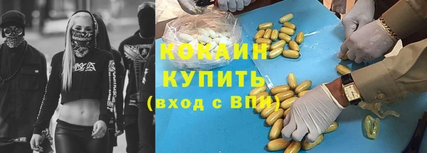 прущие грибы Кинешма