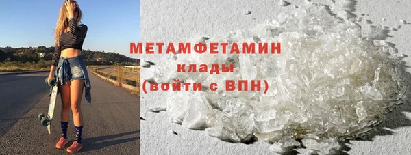прущие грибы Кинешма