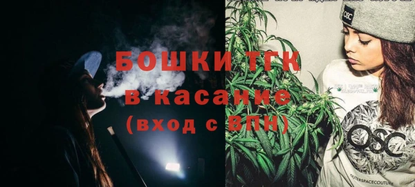 прущие грибы Кинешма