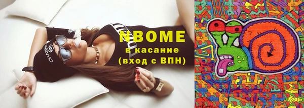 прущие грибы Кинешма