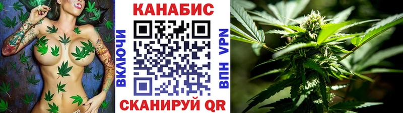 Бошки Шишки семена Кувандык